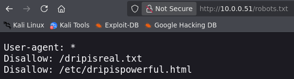 drip robots.txt.png